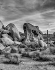 Papier Peint Désert Noir et Blanc - Rochers et Joshua Tree