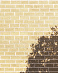 Papier Peint Texturé - Briques Beige et Brun