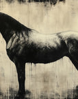Papier Peint Animaux - Cheval Noir Vintage