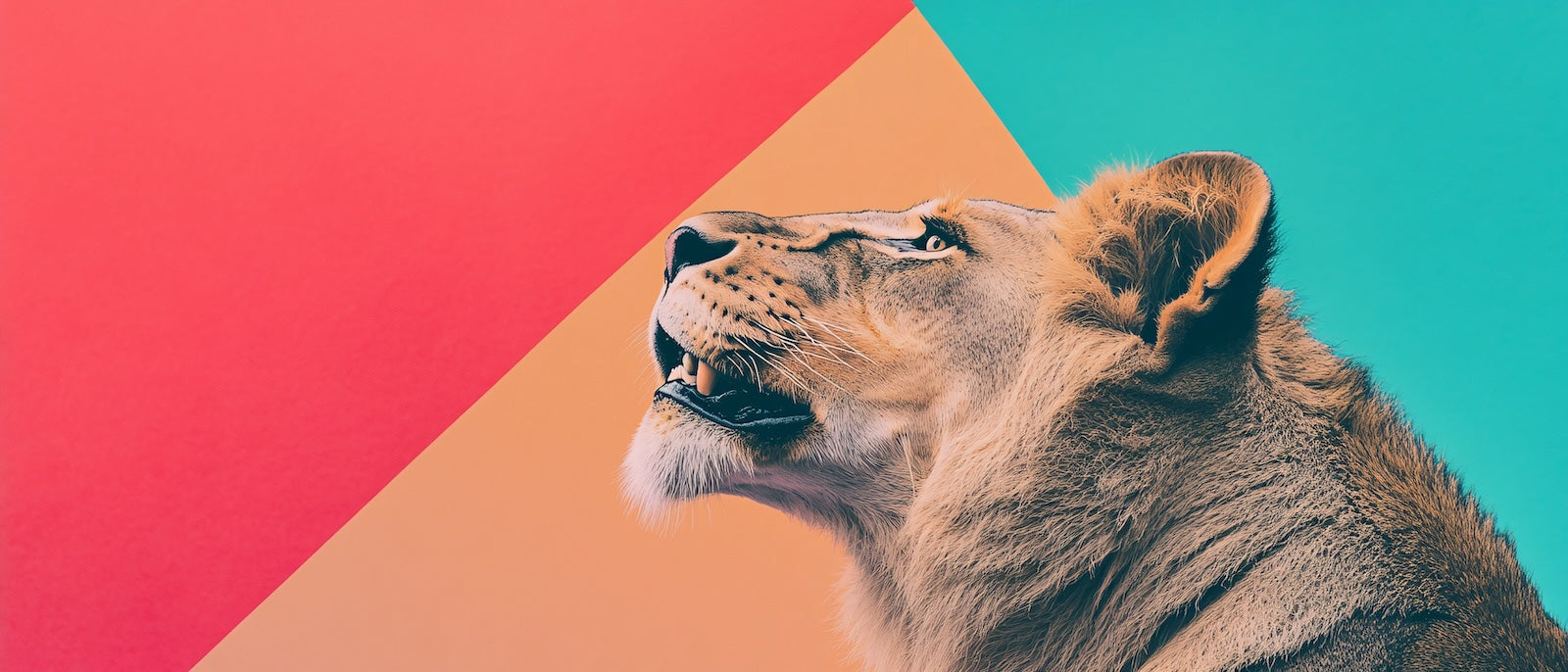 Papier Peint Animaux - Lionne Graphique Corail et Turquoise