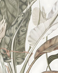 Papier Peint Floral - Plumes et Feuillage Illustré