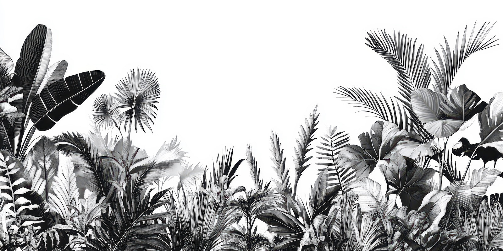 Papier Peint Tropical Noir et Blanc - Feuillage Dense