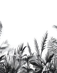 Papier Peint Tropical Noir et Blanc - Feuillage Dense