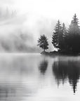 Black and White Wallpaper - Misty Lake and Forest