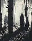 Papier Peint Forêt Noir et Blanc - Silhouette Mystérieuse