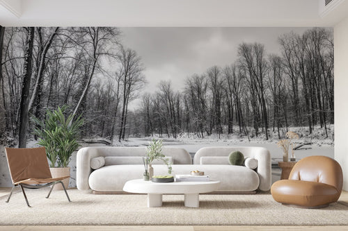 Papier Peint Forêt Noir et Blanc - Forêt Neige Hivernale