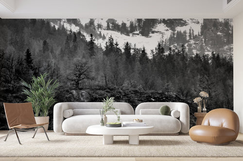 Papier Peint Forêt Noir et Blanc - Forêt Hivernale Brumeuse
