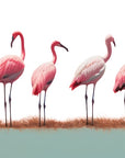Papier Peint Animaux - Rangée de Flamants Roses
