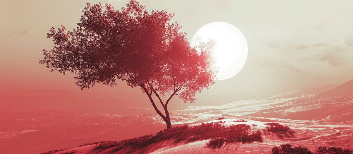 Abstract Wallpaper - Solitary Tree Pink Moon