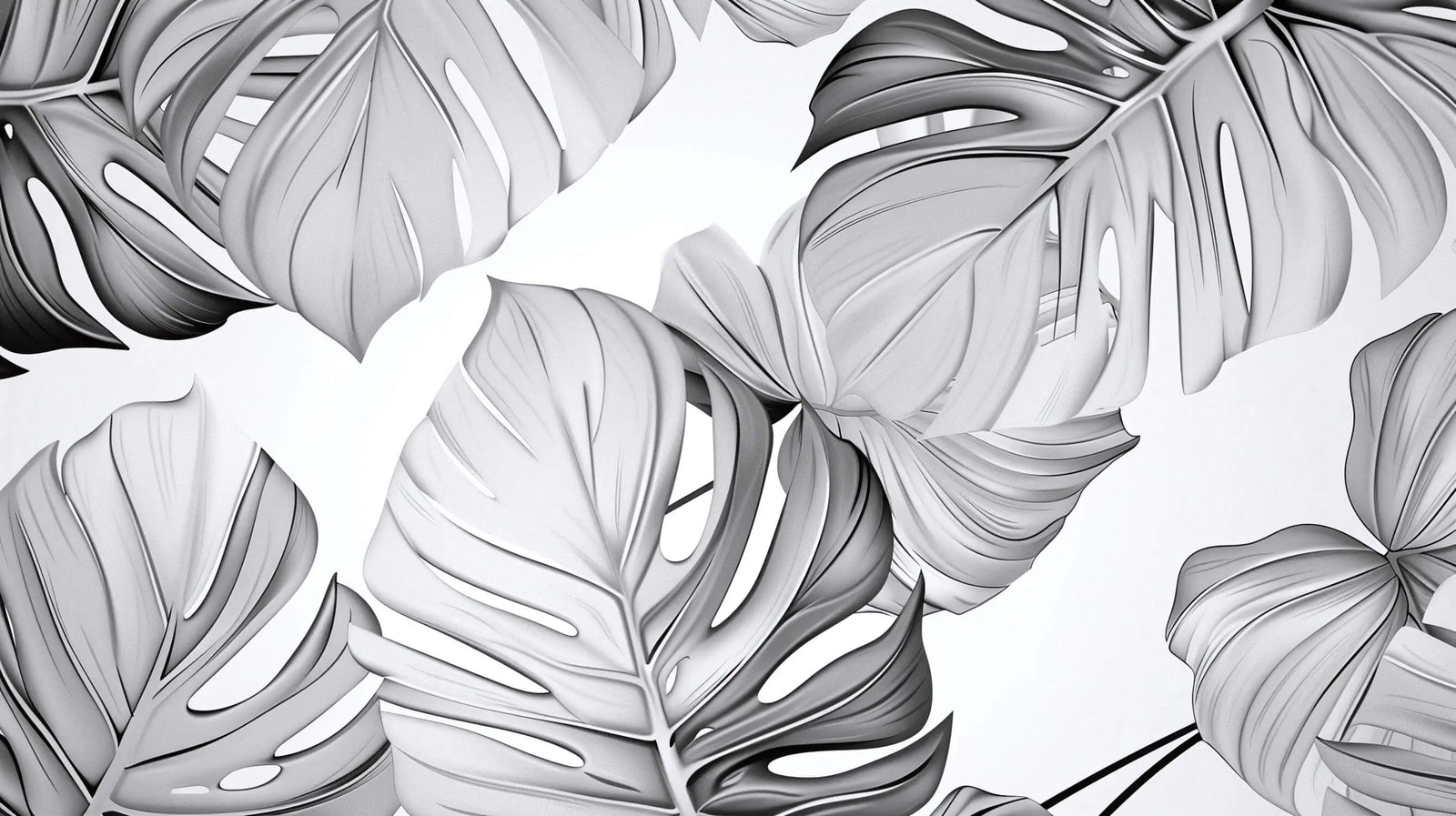 Papier Peint Feuillage - Monstera Élégant