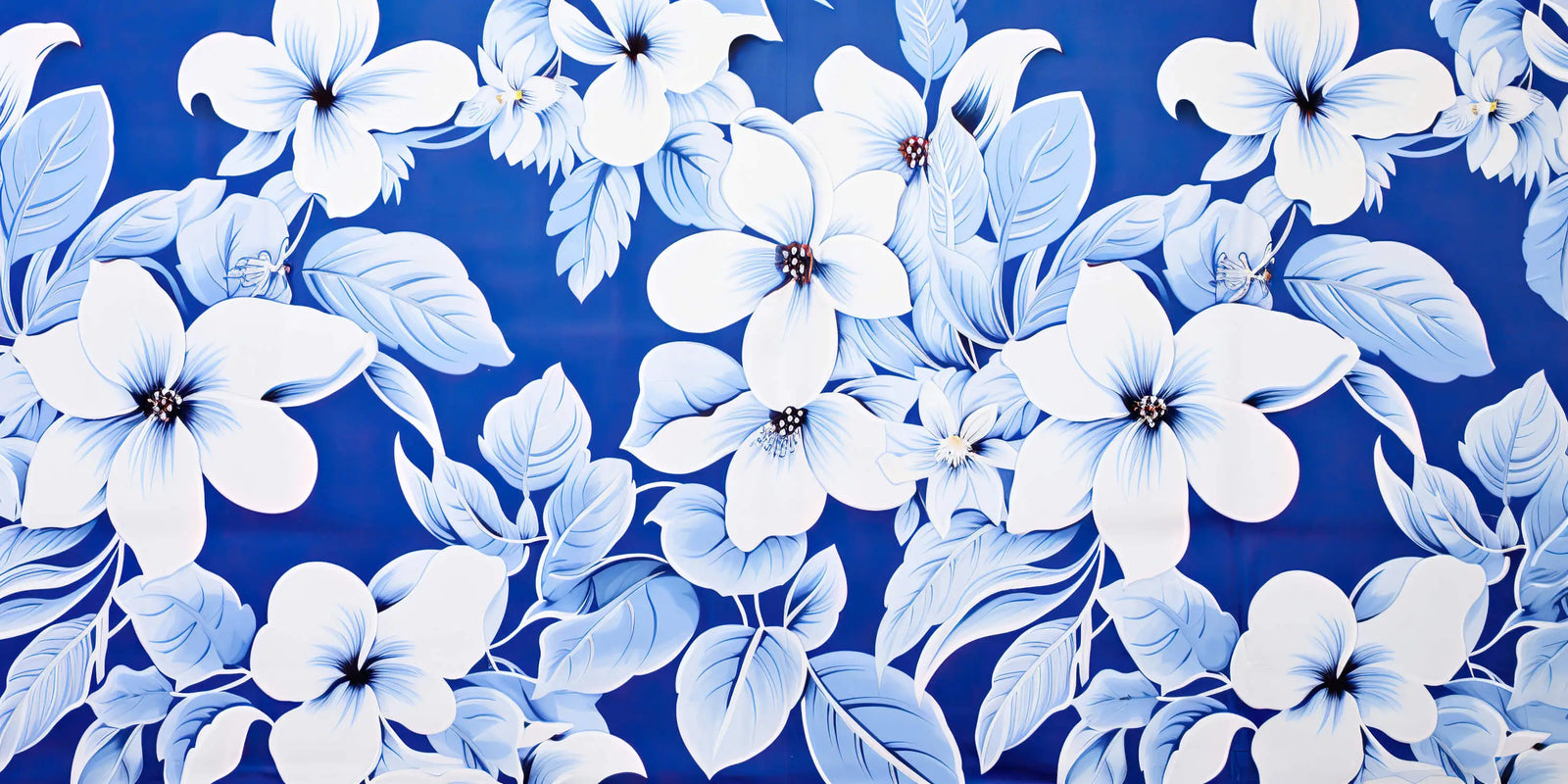 Floral Wallpaper - White and Blue Flowers