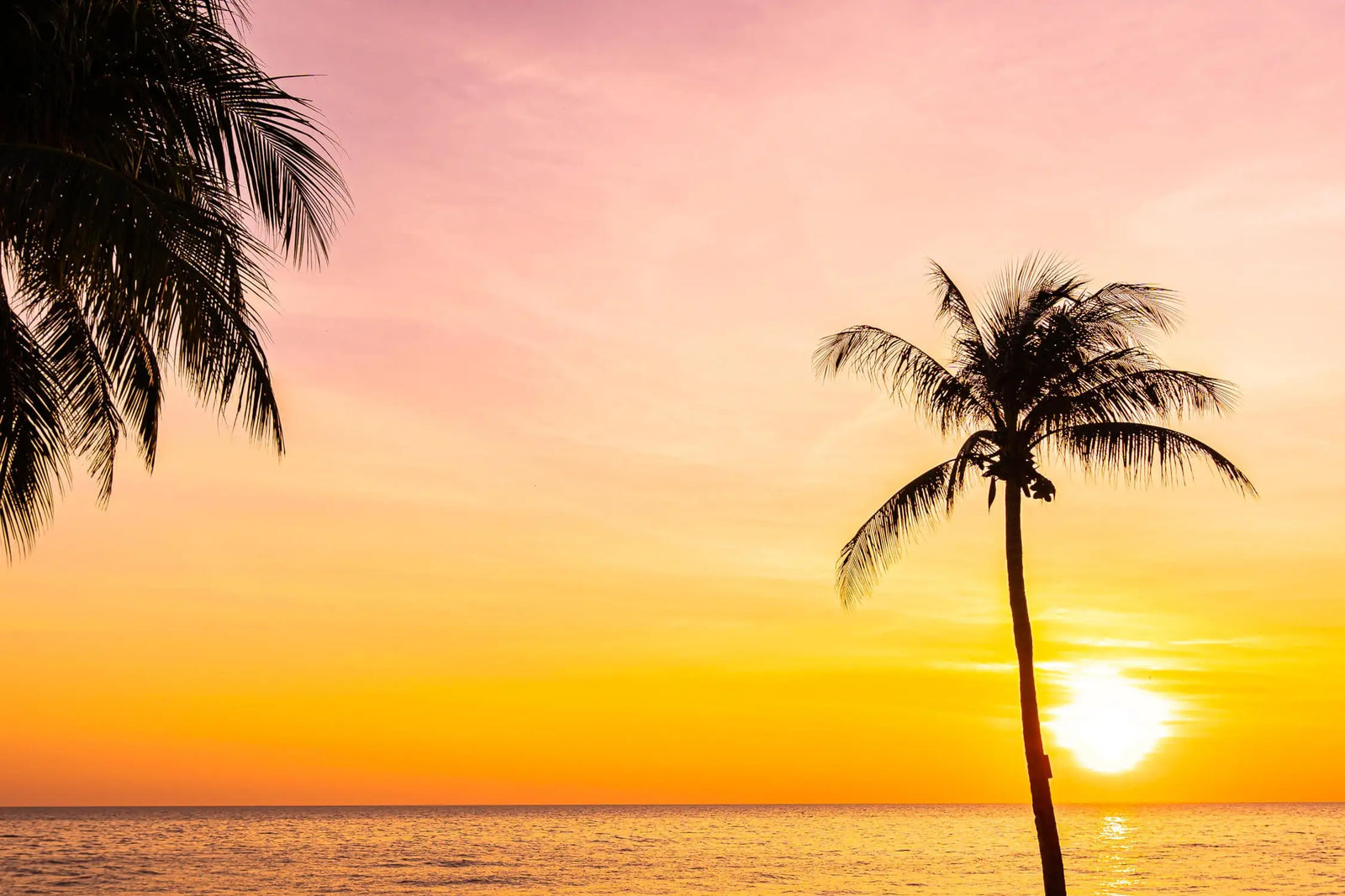Landscape Wallpaper - Tropical Sunset