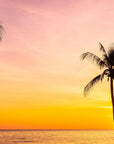 Landscape Wallpaper - Tropical Sunset