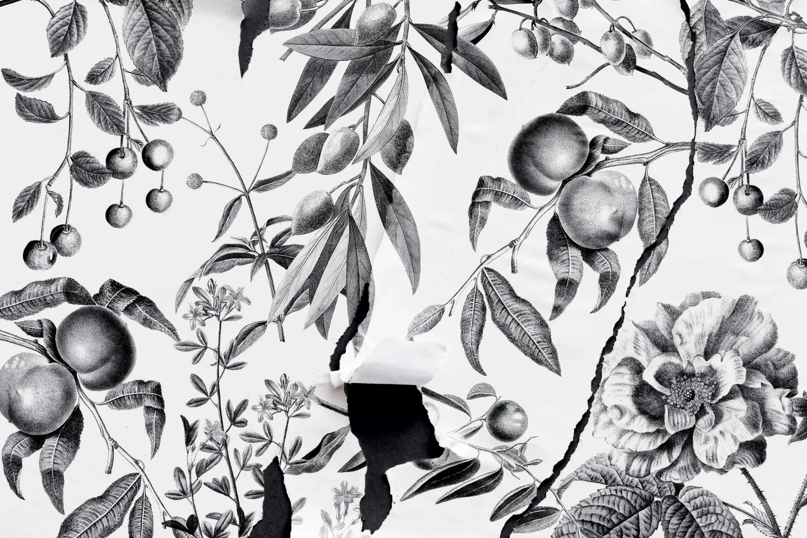 Art &amp; Deco Wallpaper - Fruits and Flowers Engraving