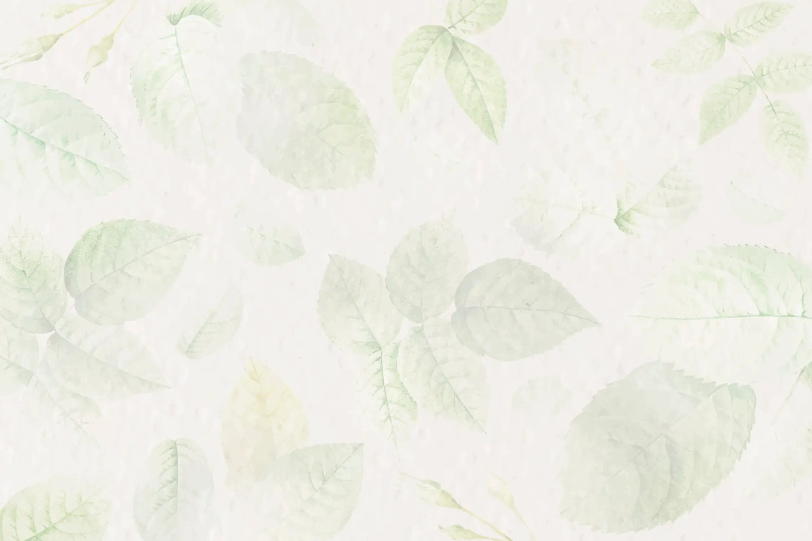 Foliage Wallpaper - Light Leaves and Watercolor