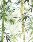 Papier Peint Feuillage - Bambous Aquarelle