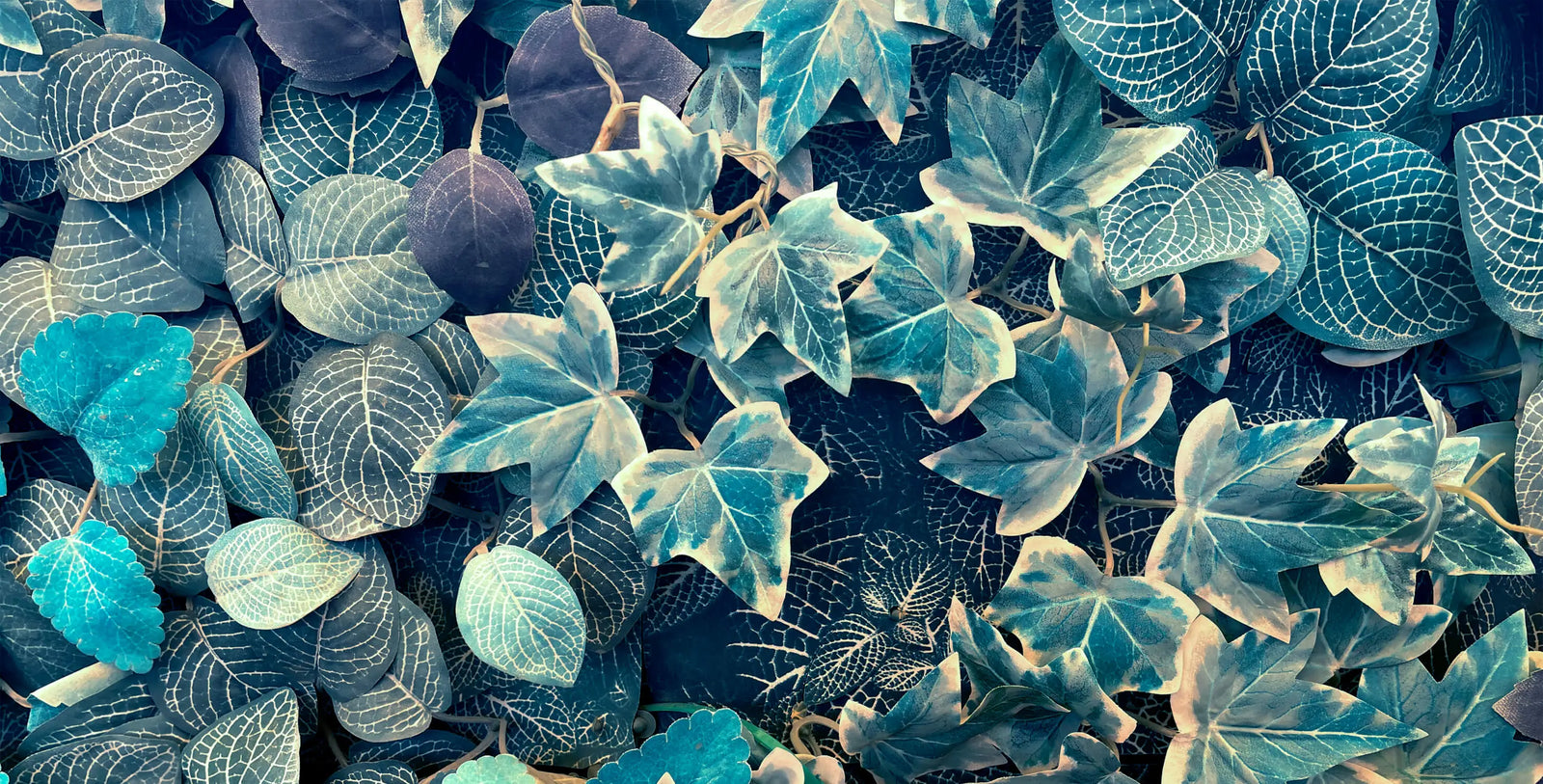 Foliage Wallpaper - Mystic Ivy