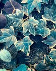 Papier Peint Feuillage - Lierre Mystique