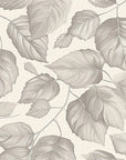 Papier Peint Feuillage - Feuilles Délicates