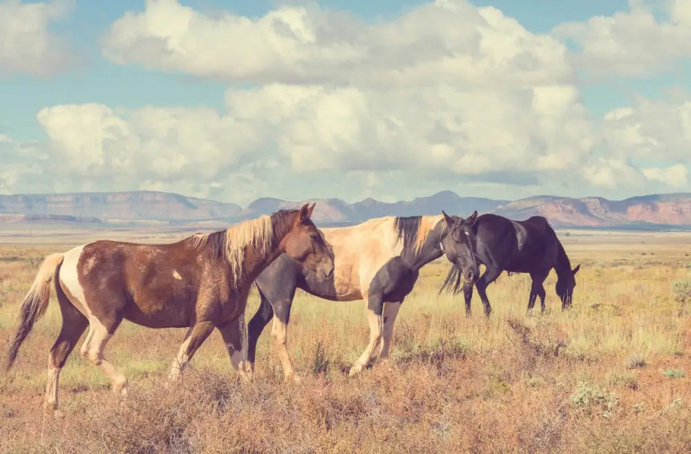 Papier Peint Nature - Chevaux Dans La Vallée