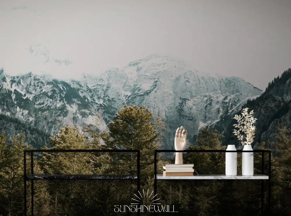 Papier Peint Panoramique - Col De Montagne Enneigée