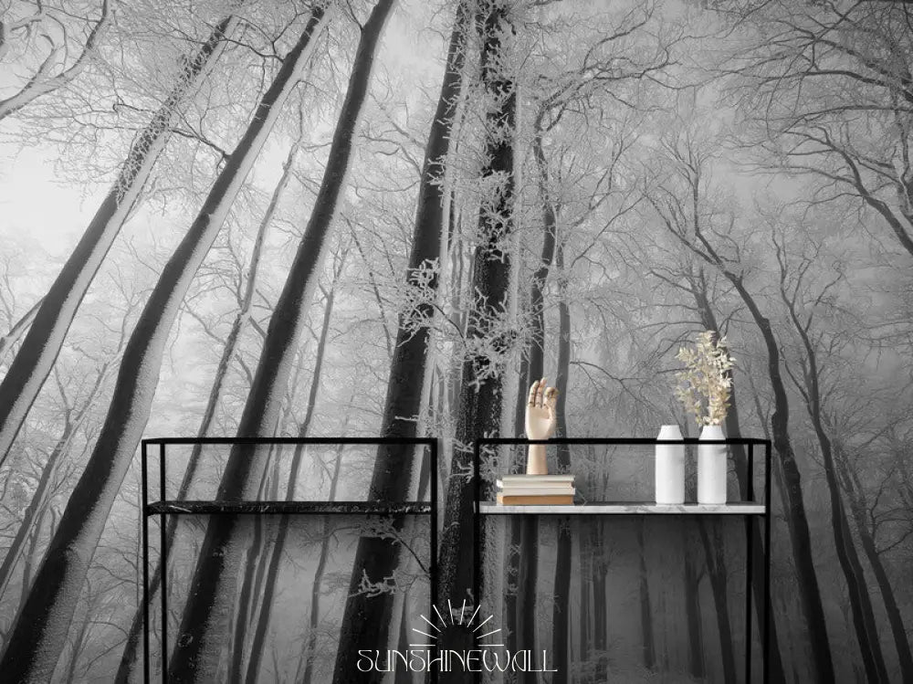 Papier Peint Paysage - Arbres Noir Et Blanc