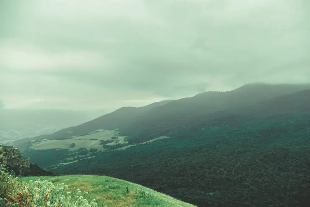 Papier Peint Paysage - Collines Verdoyantes