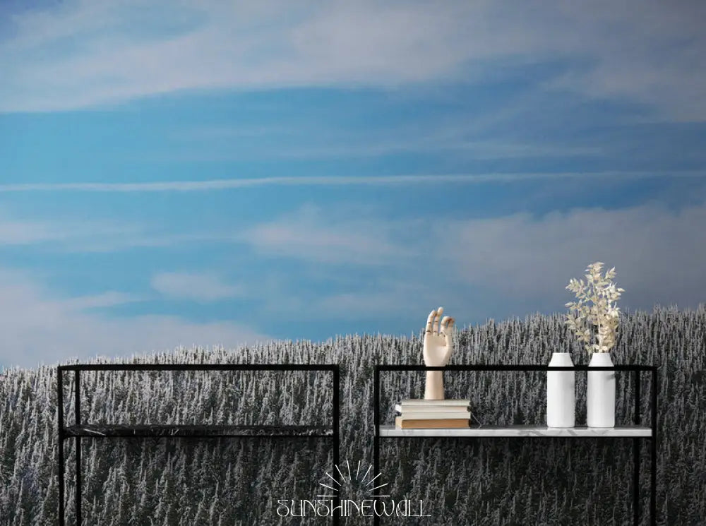 Papier Peint Paysage - Forêt Montagneuse Enneigée