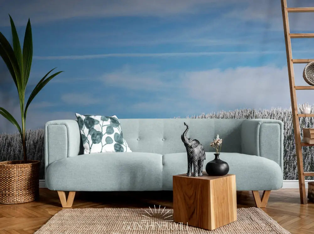 Papier Peint Paysage - Forêt Montagneuse Enneigée