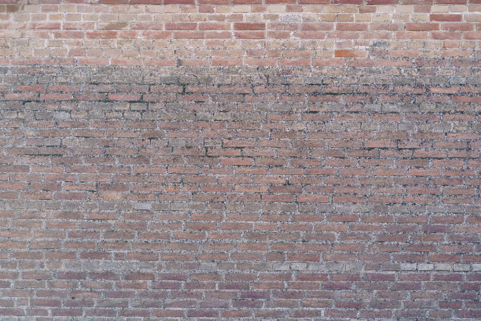 Papier Peint Pierre - Mur de Briques Multi-tons
