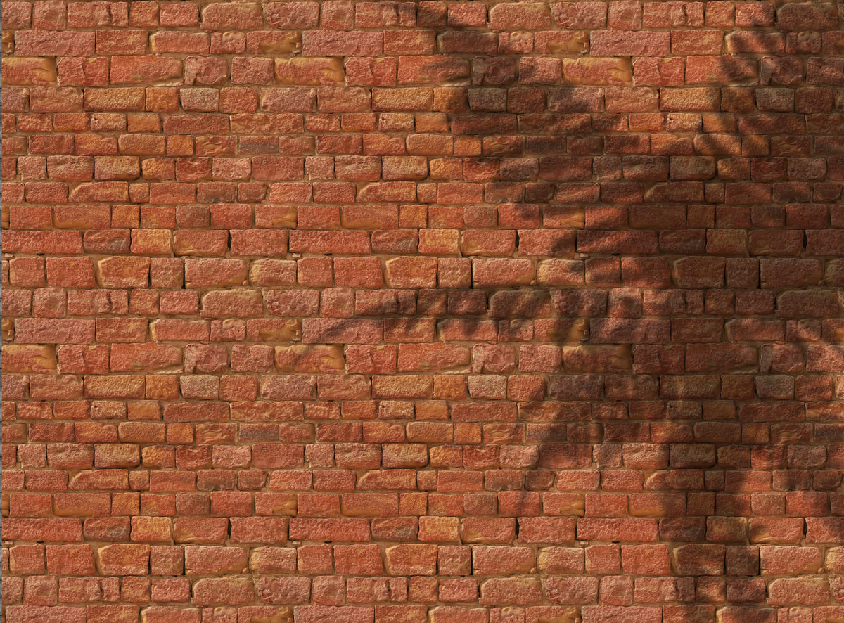 Brickbehang - Terracotta en palmboomschaduw