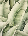 Papier Peint Exotique - Feuillage Vert Tropical