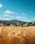 Landscape Wallpaper - Wheat Fields Under the Sun