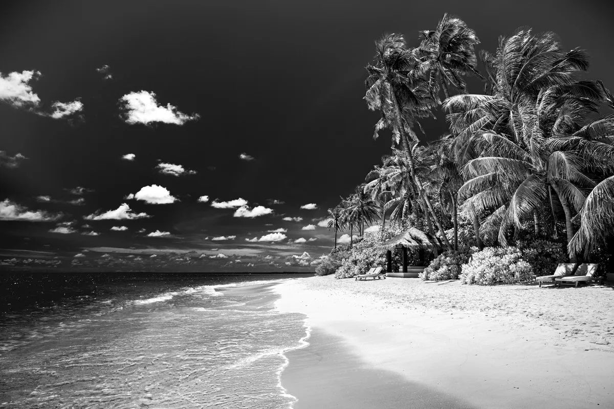 Black and White Wallpaper - Tropical Beach with Contrasting Sky