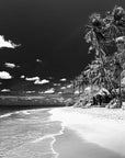 Black and White Wallpaper - Tropical Beach with Contrasting Sky