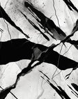 Papier Peint Abstrait - Craquelure Noir Et Blanc