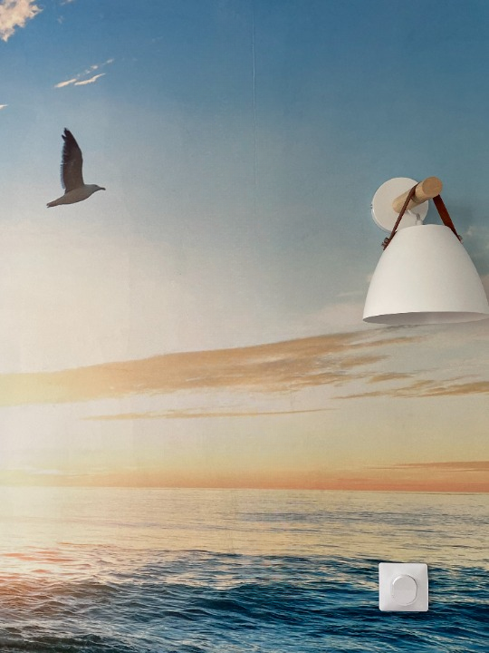 Papier Peint Imitation- Planches de Bois Beige