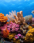 Papier peint nature - récif de corail et fonds marins azur