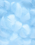 Papier Peint Art & Déco- Plumes Bleues