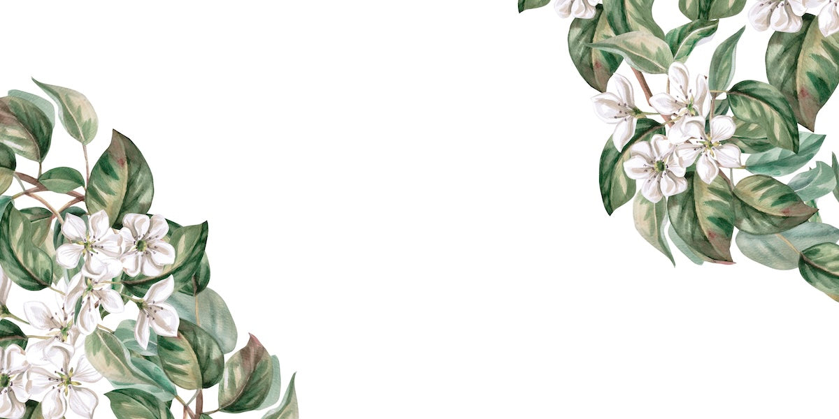 Papier peint fleuri - bouquet d'anémones crème