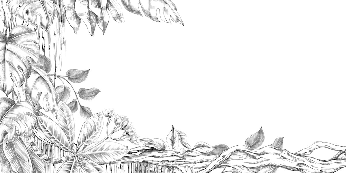 Papier peint nature - frise de fleurs sauvages dessinées