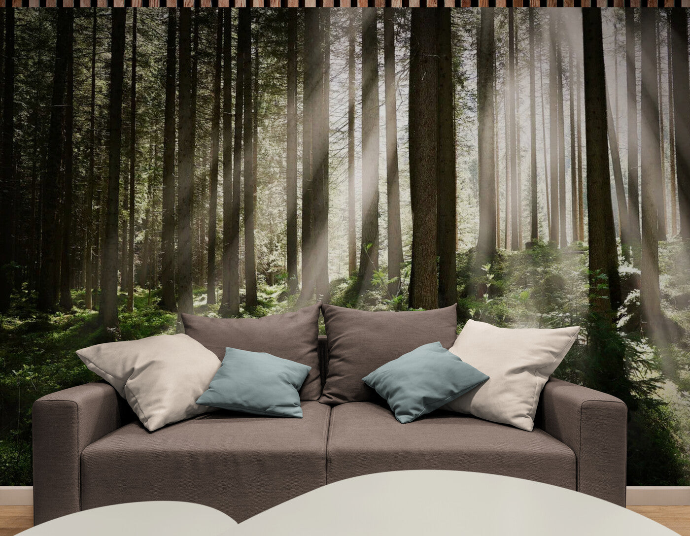 Forest Wallpaper - Enchanted Rays