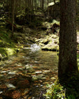 Papier Peint Forêt - Ruisseau en Clairière