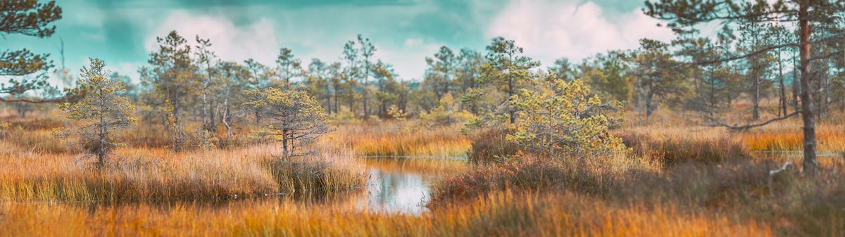 Papier peint nature - paysage de plaine sauvage et rivière