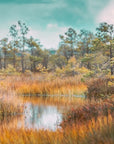 Nature wallpaper - wild plain and river landscape