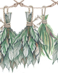 Papier peint boho - guirlande d'herbes séchées suspendues