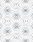 Geometric Wallpaper - Minimalist Hexagons