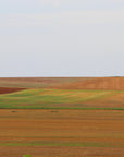 Countryside wallpaper – Minimalist farmland