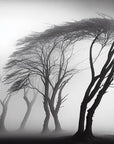 Black and White Wallpaper - Trees in the Mist