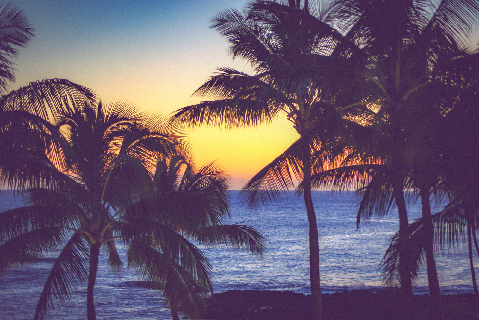 Papier Peint Plage Tropicale - Palmiers au Soleil Couchant